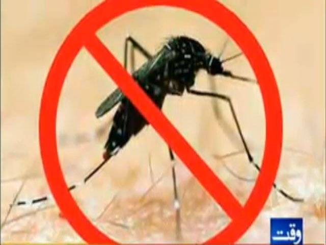 صوبہ پنجاب کے مختلف شہروں میں ڈینگی کا مرض وبائی صورت اختیارکرنے سے آئے روز ڈینگی بخار کے مریضوں کی تعداد میں اضافہ ہوتا جارہا ہے