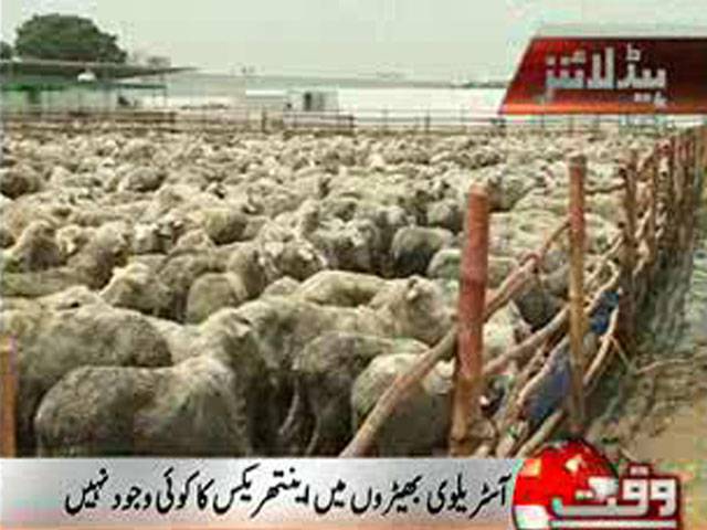 سندھ ہائی کورٹ میں بھیڑوں کی بیماری سے متعلق عبوری رپورٹ پیش کردی گئی۔ بھیڑوں میں انتھیرکس کی بیماری نہیں ہے. رپورٹ
