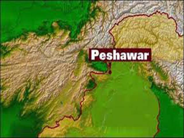 پشاور میں سکیورٹی فورسز کی مختلف کاروائیوں میں ،نو دہشت گرد ہلاک ہو گئے جبکہ دو سیکیورٹی اہلکاروں نے جام شہادت بھی نوش کیا