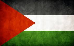 فلسطین نے اسرائیلی جارحیت کے خلاف سلامتی کونسل میں دوبارہ قرارداد پیش کرنے کا فیصلہ کیا ہے دوسری طرف اسرائیلی نے فلسطین کو محصولات کے ذریعے وصول کی جانے والی رقوم کی منتقلی روک دی ہے۔