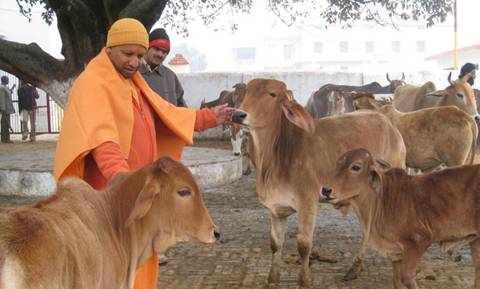 بھارت: راجیا سبھا میں گائے ذبح کرنے والوں کو سزائے موت سمیت عبرت ناک سزائیں دینے کا بل پیش