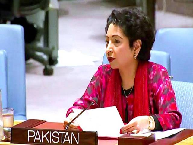 عالمی امن کو درپیش چیلنجز پڑھ رہے ہیں، اقوام متحدہ میں اصلاحات جمہوری اصولوں پر ہونی چاہئیں پاکستان