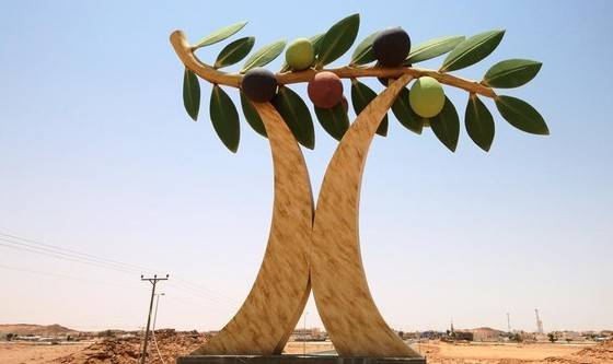 دنیا بھر میں زیتون کے درخت لگانیوالوںمیں سعودی عرب پہلے نمبر پر 