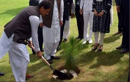 وزیراعظم عمران خان نے گرین پاکستان مہم کا آغاز کر دیا