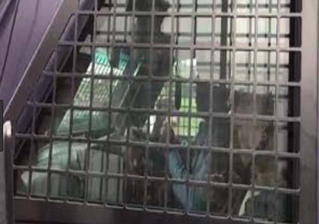 نیب ریفرنسز: سابق وزیراعظم نواز شریف کواڈیالہ جیل سے احتساب عدالت پہنچا دیا گیا