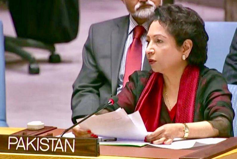 پاکستان اور افغانستان کی تقدیریں آپس میں جڑی ہوئی ہیں: ملیحہ لودھی