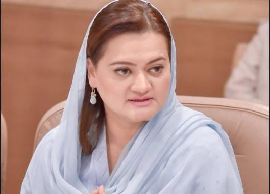 وفاقی وزراءکی کارکردگی کا جائزہ نااہل استاد لے رہے ہیں:مریم اورنگزیب