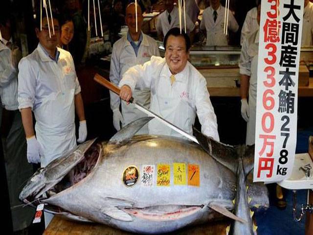 جاپان میں 278 کلو وزنی مچھلی 30 لاکھ ڈالر میں فروخت