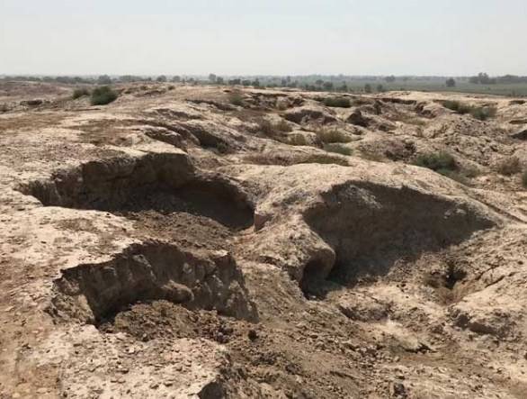 محکمہ آثار قدیمہ کا جام پور میں بدھ مت کے قدیم آثارمیں کھدائی کا فیصلہ