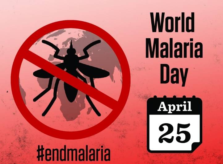 پاکستان سمیت دنیا بھر میں آج ملیریا سےبچا ؤ کا دن منایا جا رہاہے
