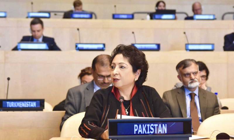 اقوام متحدہ میں پاکستان کا سلامتی کونسل میں مزید جمہوری اصلاحات کیلئے اپنی حمایت کااعادہ