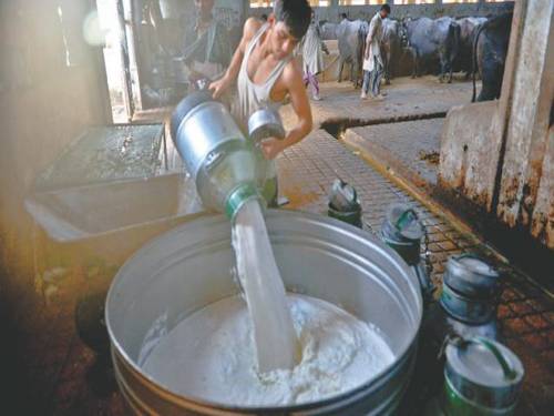 سندھ حکومت نے دودھ کی قیمتوں میں اضافہ مسترد کردیا