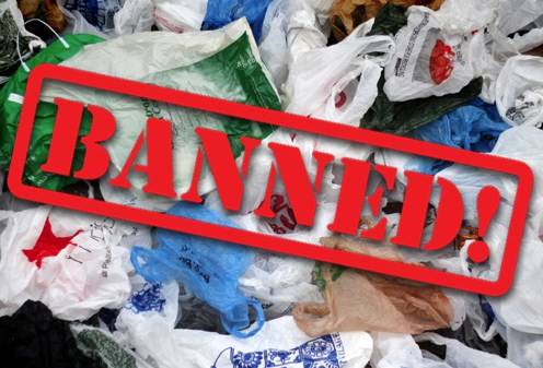 پنجاب میں بھی پلاسٹک کے تھیلوں پر پابندی کا فیصلہ