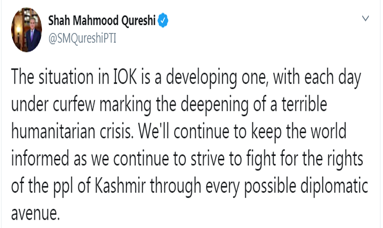کشمیر میں جاری انسانی بحران نے دنیا کی توجہ حاصل کر لی ہے: وزیر خارجہ