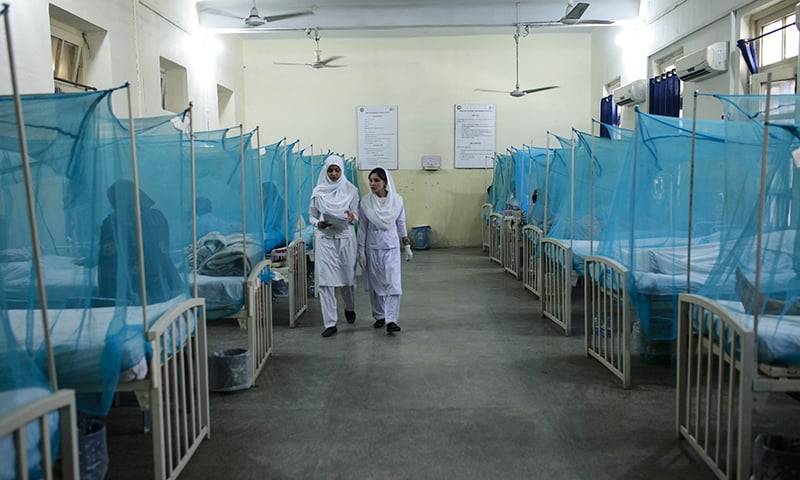سندھ میں ڈینگی بخار کے مریضوں کی تعداد 4115 ہوگئی
