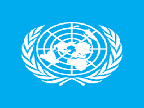 اقوام متحدہ کی سلامتی کونسل نے یمنی حکومت اور جنوبی عبوری کونسل کے مابین معاہدے کو خوش آئند قرار دے دیا