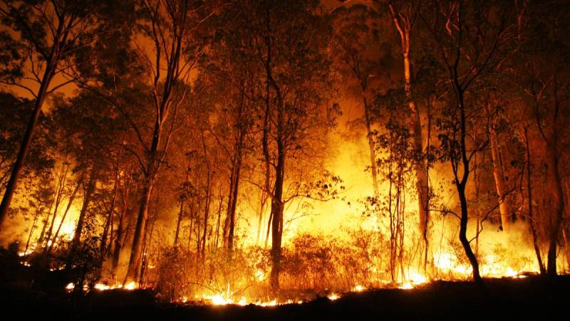 آسٹریلیا کے جنگلات میں لگنے والی آگ سے زخمی ہونے والوں کی تعداد 120 ہو گئی