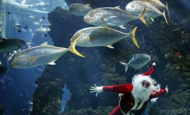 کرسمس:میونخ کا سانتا کلاز مچھلیوں کےایکوریم میں جا پہنچا