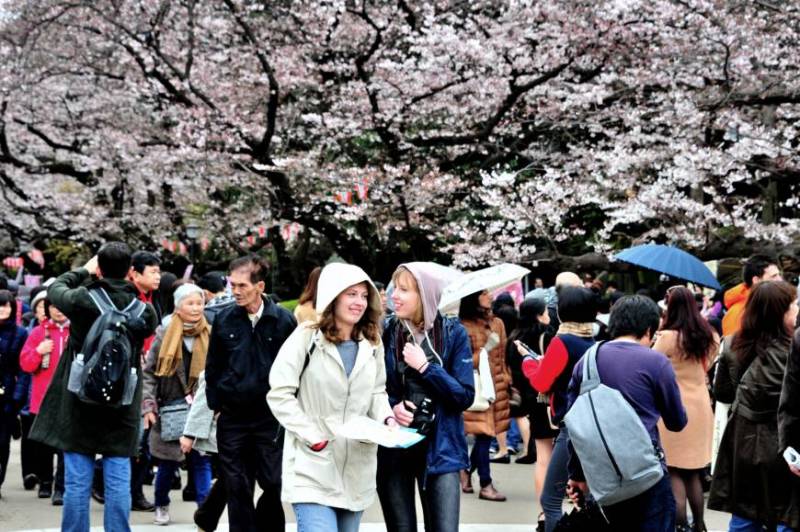 جاپان میں گزشتہ سال غیر ملکی سیاحوں کی ریکارڈ آمد