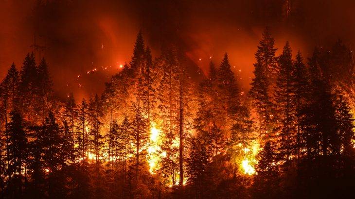 آسٹریلوی جنگلات میں لگنے والی آگ کی تفتیش کرانے کی تجویز
