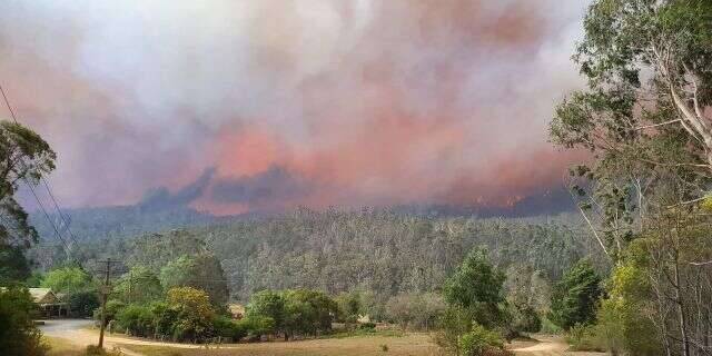 آسٹریلوی جنگلاتی آگ والے علاقوں میں بارش سے شدت میں کمی