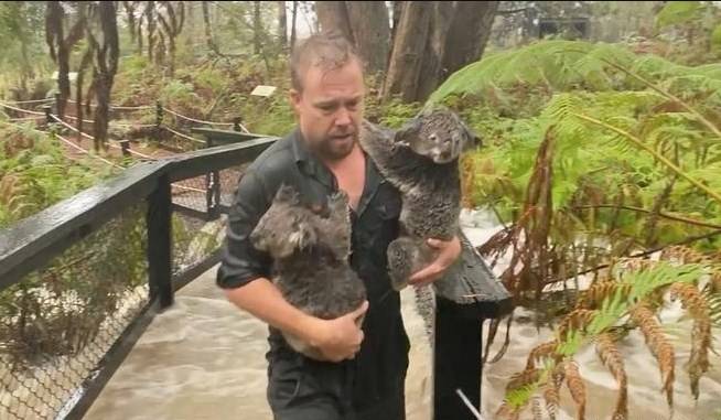 آسٹریلیا میں جنگلاتی آگ کے بعد سیلاب نے نئی تباہی پھیلادی 