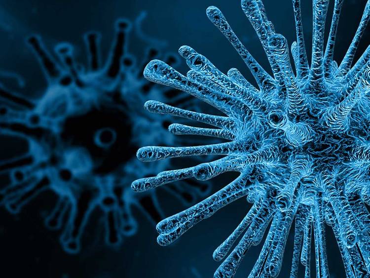 ملک کے تین صوبوں میں پولیو وائرس کی تصدیق