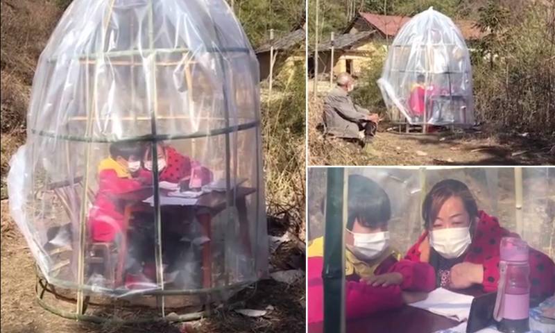  چین :کرونا وائرس: ماں نے بیٹی کی پڑھائی کے لیے ٹینٹ تعمیر کرلیا