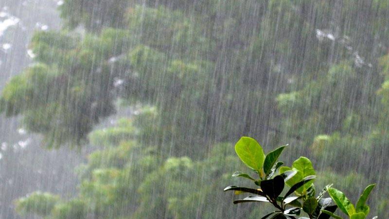 پنجاب اور خیبرپختونخواہ کے مختلف علاقوں میں موسلا دھار بارش اور ژالہ باری