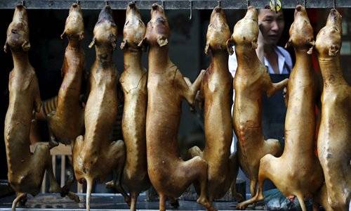 کورونا: چینی شہر میں کتے بلی کا گوشت کھانے پر پابندی عائد