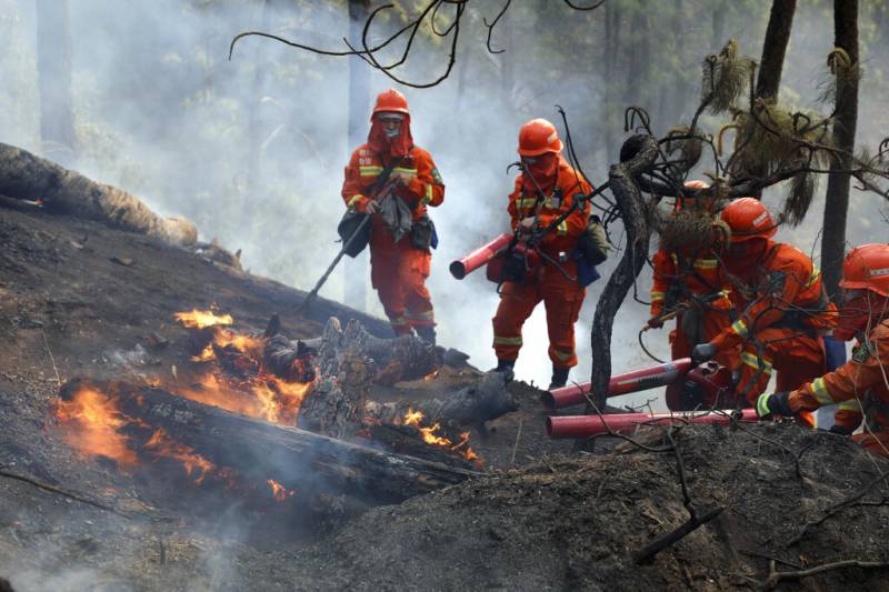 چین ، صوبہ یوننان کے جنگلات میں لگی آگ بجھا دی گئی