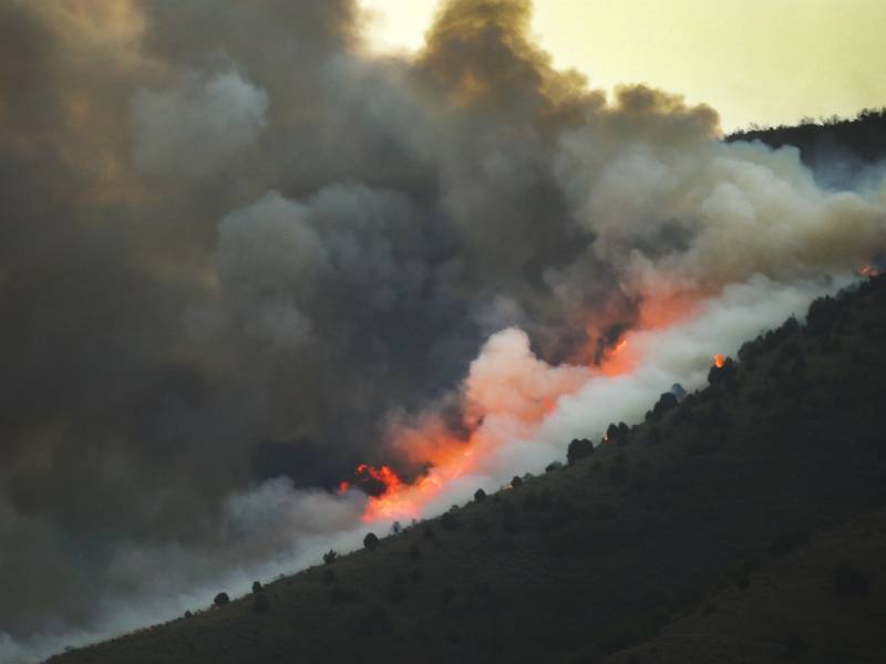 امریکا: یوٹاہ کے جنگلات میں آتشزدگی، 10 ہزار ایکڑ اراضی جل گئی