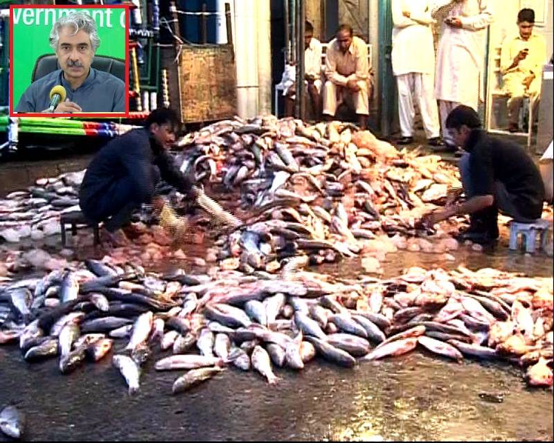 لاہور یوں کے لیے خوشخبری : مچھلی منڈی جلد شہر سے باہر منتقل کی جائےگی: صوبائی وزیر صنعت و تجارت میاں اسلم اقبال 