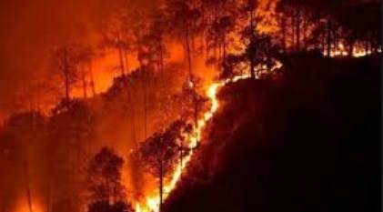 امریکی ریاست کیلی فورنیا کے جنگلات میں لگی آگ پر قابو نہ پایا جا سکا