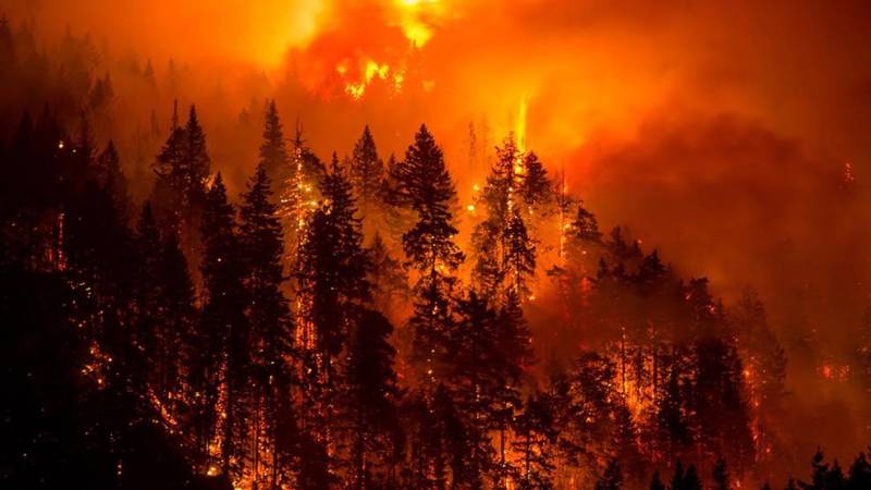  امریکی ریاست اوریگون کے جنگلات میں انتہا پسندوں پر آگ لگانے کا الزام بے بنیاد، ایف بی آئی