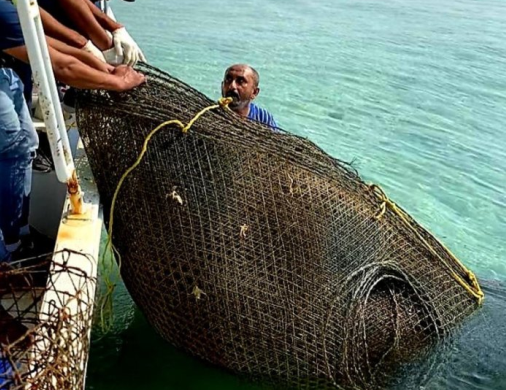 سعودی حکام نے مچھلیوں کے شکار کے 40 ممنوعہ جال قبضے میں لے لیے