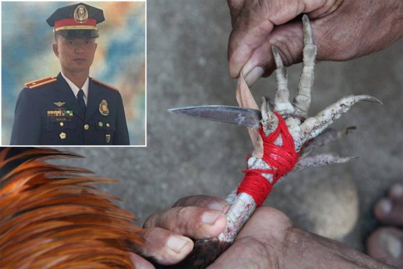 فلپائن'مرغے کے حملے میں پولیس افسر ہلاک