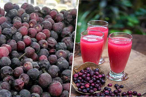 گرمی کے موسم میں فالسہ کھانے یا اس کا جوس پینے کے حیرت انگیز فوائد