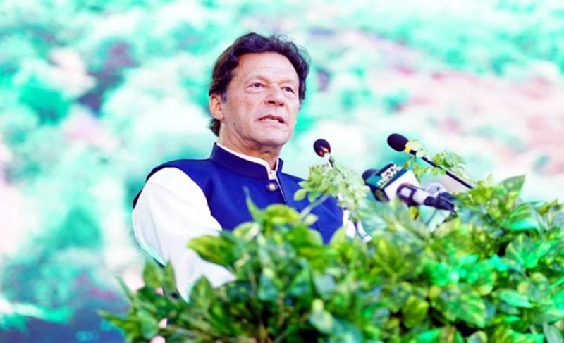  آئندہ نسلوں کے لیے سرسبز پاکستان چھوڑ کر جائیں گے: وزیر اعظم
