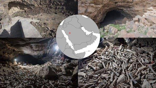 سعودی عرب،غار سے انسانوں اورجانوروں کی ہزاروں ہڈیاں دریافت