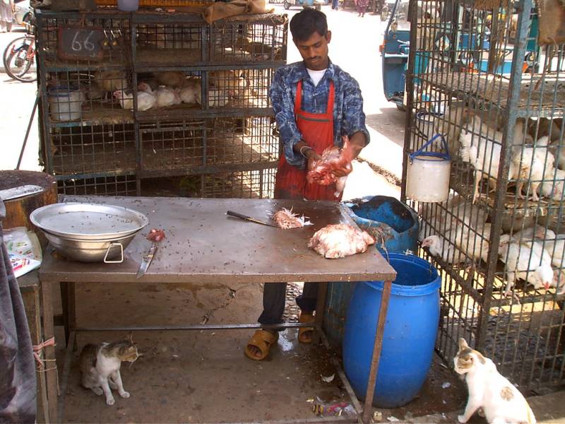  لاہور ،مرغی کے گوشت میں مزید اضافہ 258 روپے کلو ہو گیا