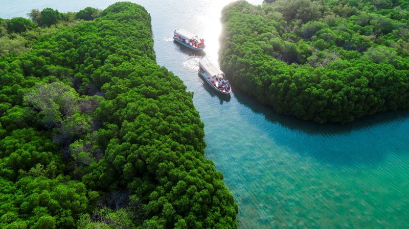 جزائر فرسان کا قومی جنگل یونیسکو کی فہرست میں شامل