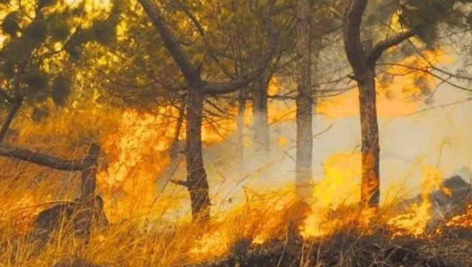 شیرانی کے جنگلات میں آگ بے قابو، مکینوں کا علاقہ چھوڑنے سے انکار