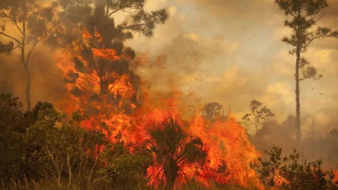 شیرانی کے جنگلات میں آگ بے قابو، مکینوں کا علاقہ چھوڑنے سے انکار