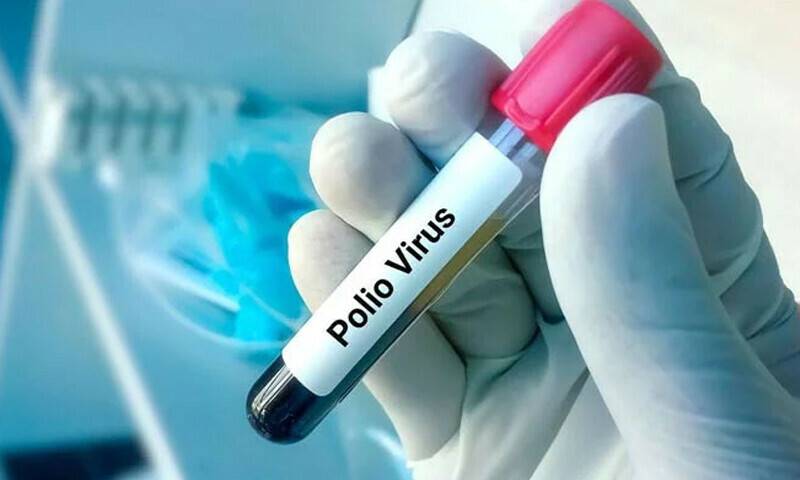 بلوچستان اور پشاور میں ماحولیاتی نمونوں میں پولیو وائرس کی تصدیق