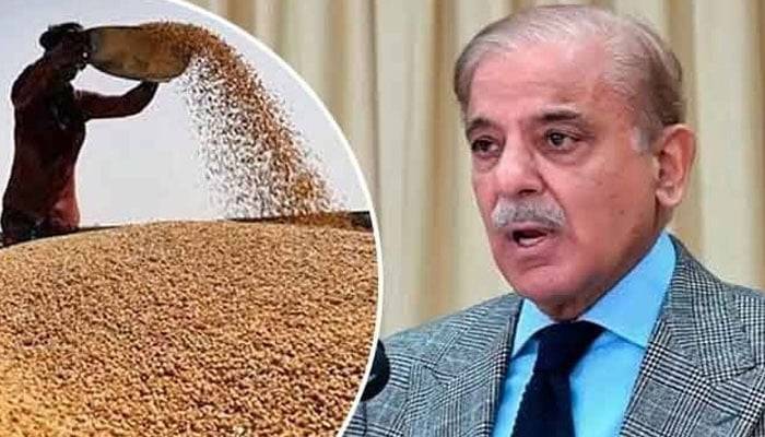  گندم درآمد اسکینڈل،انکوائری رپورٹ پر کوئی پیشرفت نہ ہو سکی