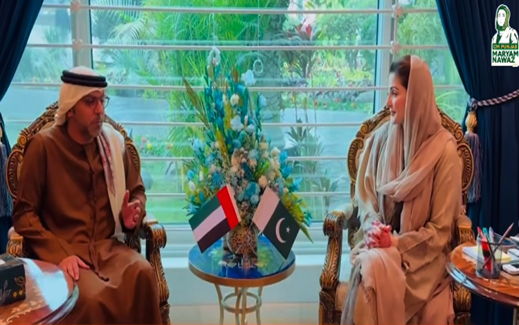 حکومت پنجاب کے ساتھ پبلک پرائیویٹ پارٹنرشپ کے ذریعے دیرپا ترقی کے فروغ  کے لیے پُرعزم ہے:وزیر اعلیٰ پنجاب
