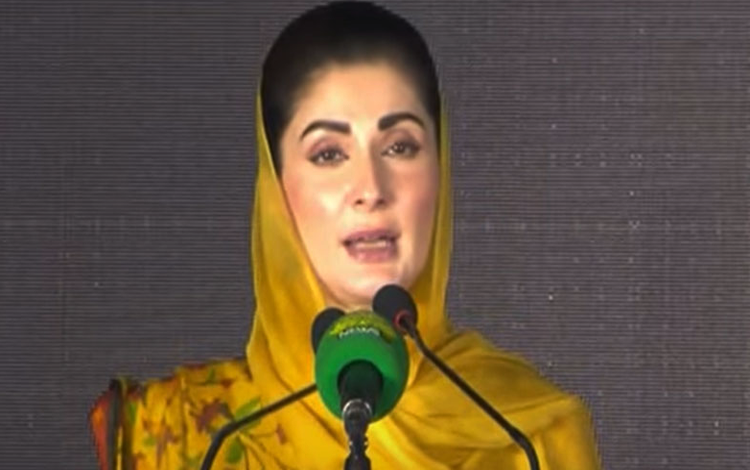 سرکاری ہسپتالوں سے دوائیں بھی چوری ہوتی ہیں: مریم نواز 