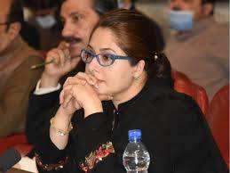 شاندانہ گلزار کو حفاظتی ضمانت مل گئی