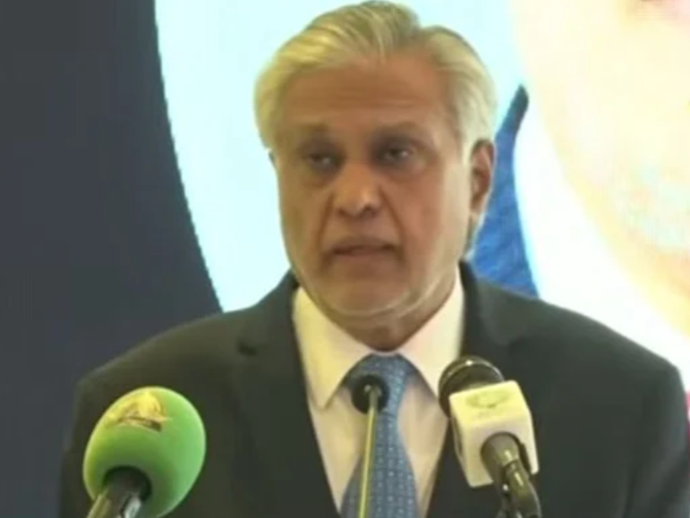 پاکستان کسی صورت پہلا قدم نہیں اٹھائےگا لیکن جارحیت کا پوری طاقت سے جواب دیں گے: نائب وزیراعظم